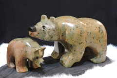 Learning-the-Bear-Nesesities