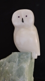 Snowy Owl