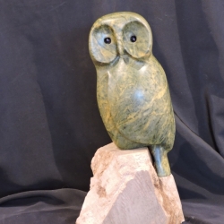Owl Be Back