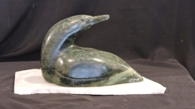 A Loon's Tale