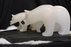 Arctic-Home-Schooling
