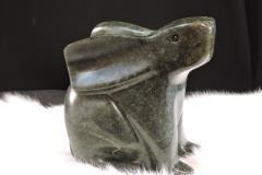 Bad-Hare-Daze