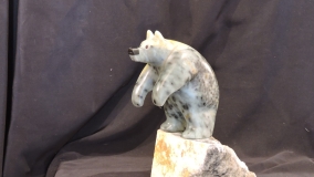 Bearly Diving