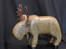 Bruce is no Obtuce Moose