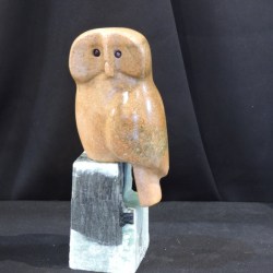 Dont-Give-a-Hoot