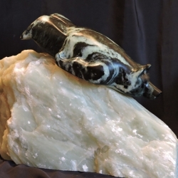 Early Luge