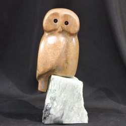 Feeling-Kinda-Owlie