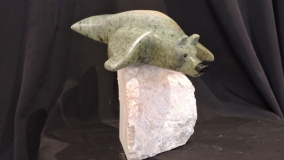 Flight 101 Bear Canada