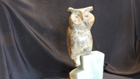 Just A Little Hooter