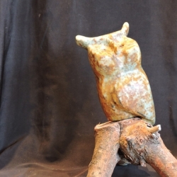 Little Wise Guy