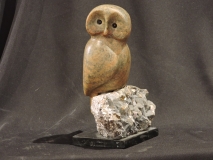 Owl Always Give a Hoot