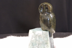 Owl-Be-Alright