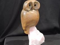 Owl Be Around