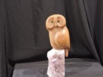 Owl Be Around