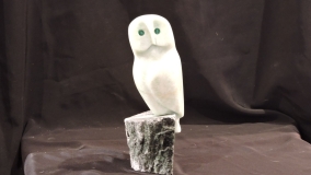 Owl Be Seeing You