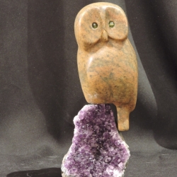 Owl Be Your Friend
