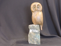 Owl Be watching You