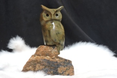 Owl-Call-Who