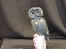 Owl Get Back to You