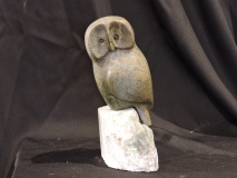Owl Might Cal You