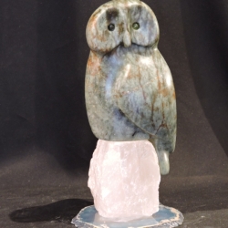 Owl Miss You