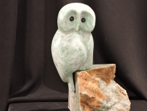 Owl Ways Watching