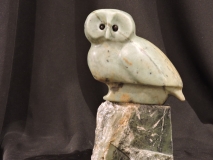 Owl-Ways a Wise Guy