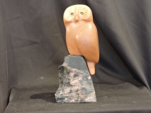 Owl Ya Need