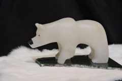 Polar-Prowler