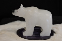 Spirit-Bear