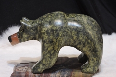 The-Black-Bear-Stare