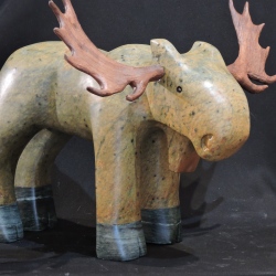 There's No Excuse When You're a Moose