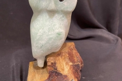 Turquoise And Wise