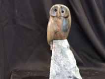 Who Gives a Hoot