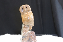 Wise-to-be-Wise