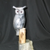 a_whose_who_of_the_forest