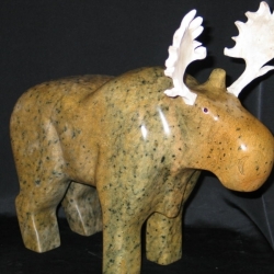 bruce_tne_moose