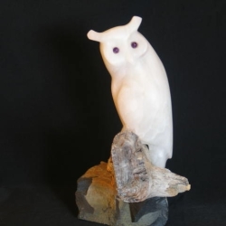 hoots_mccann