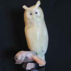 i_don_t_give_a_hoot