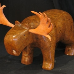 moose_on_the_loose_1