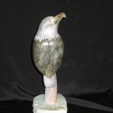 old-eagle-eye