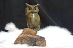 Owl-Call-Who