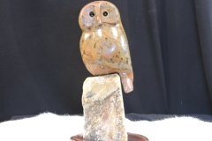 Hoots-and-Boots