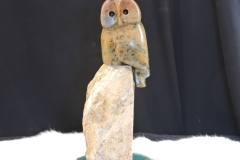 Gives-a-Hoot
