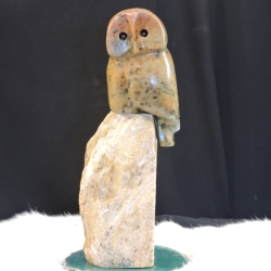Gives-a-Hoot