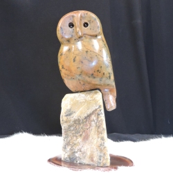 Hoots-and-Boots