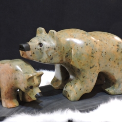Learning-the-Bear-Nesesities